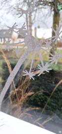 Fensteraufkleber Löwenzahn