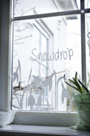 Fensteraufkleber Snowdrop Text groß