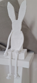 White Rabbit sitting
