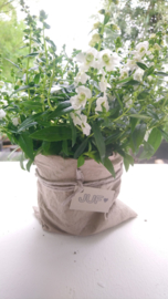 Plantbag small zand