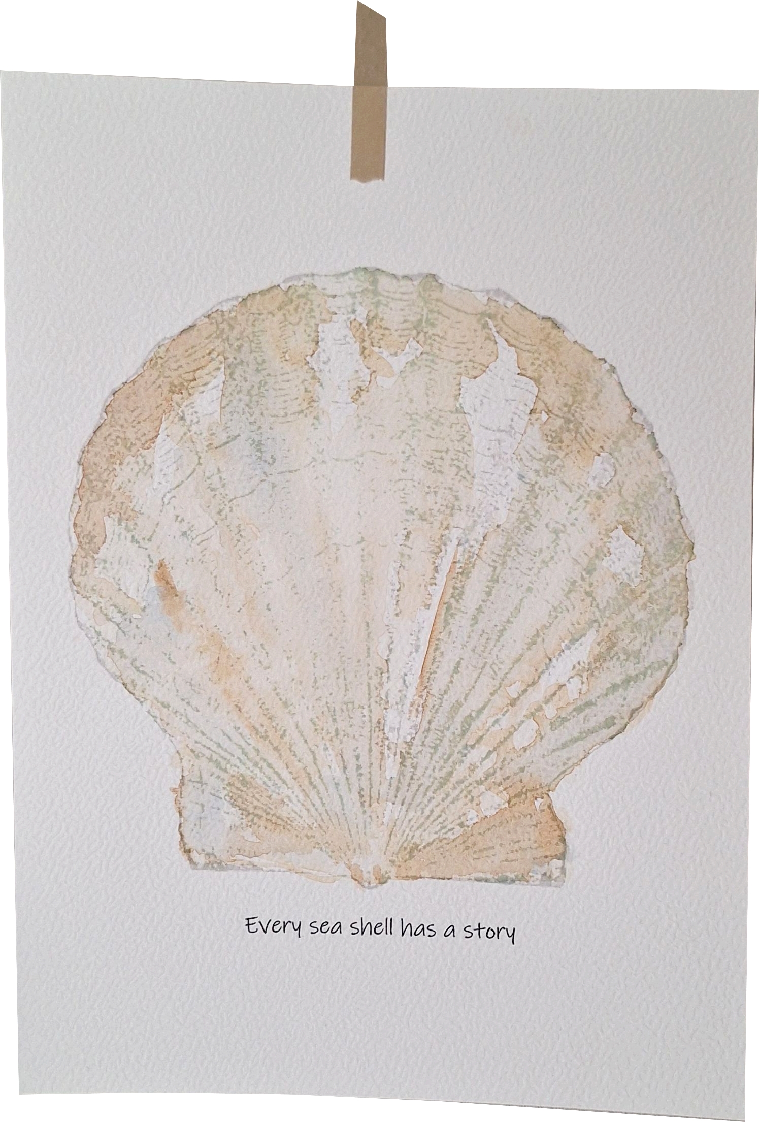 Sea shell  A5