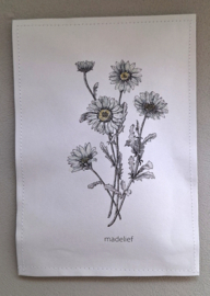 Geursachet Craft Madelief