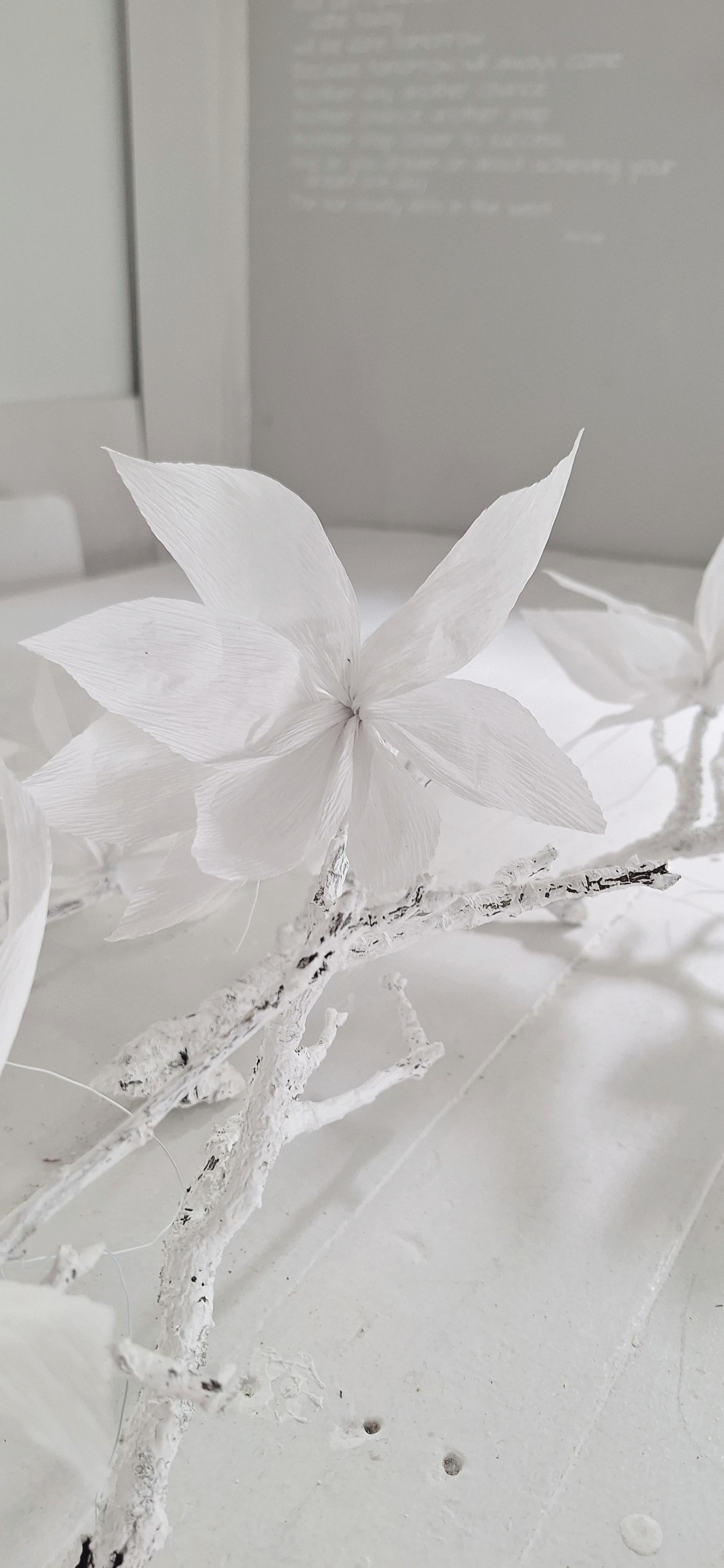 Fruittak met Magnolia Bloemen 5 st.