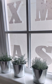 Pot There are so many reasons to love Winter