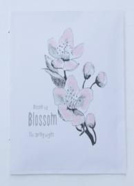 Geursachet Craft A4 Blossom by blossom the spring begins