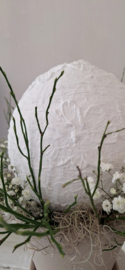 Flower Bulb groot