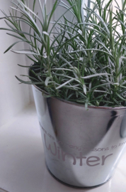 Pot There are so many reasons to love Winter