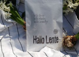 Geursachet Craft wit Hallo Lente