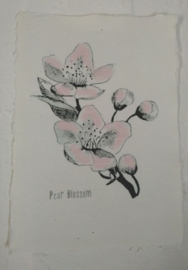 Karte A5  Pear  Blossom