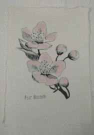 Kaart A5- Pear Blossom