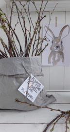 Paper plantbag grijs groot