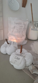 Tealight Pumpkin Pie xl