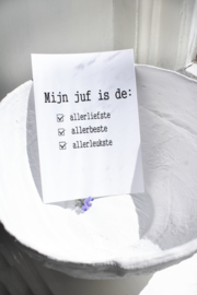 Ansichtkaart mijn juf is...