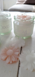 Daisy kaars in pot roze