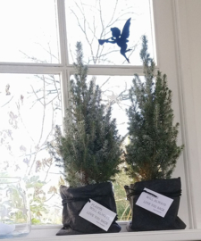 Raamsticker - Engeltje met trompet H 16 cm