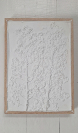 Botanische Liste 1