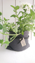 Plantbag small antraciet/zwart