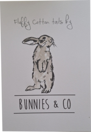 Bunnies & co