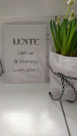 Sachet bloemenzaad LENTE  wit