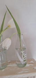 Glasflasche NJOY