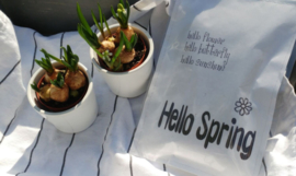 Geursachet Craft wit Hello Spring