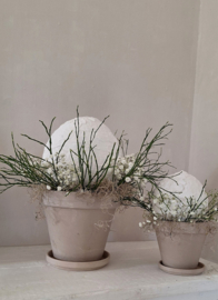 Flower Bulb klein