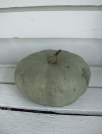 Pompoen groen groot