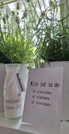 Badschuim "Dankjewel lieve juf !"