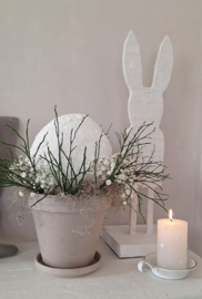 Flower Bulb groot