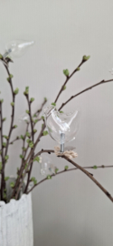 Vogeltje glas