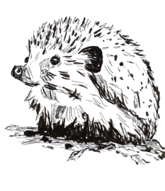 Cotton Animal Hedgehog