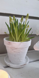 Terrapot met schotel wit mt14