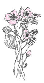 Kaart A5- Blackberry Blossom