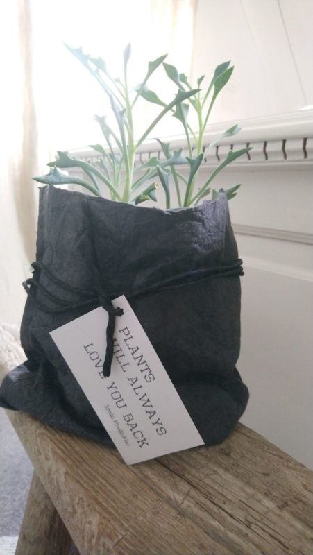 Aggregaat Binnen Ver weg Paper plantbag antraciet-zwart M | Puur | Puur in Pastel
