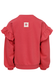 Rode Sweater Looxs Little