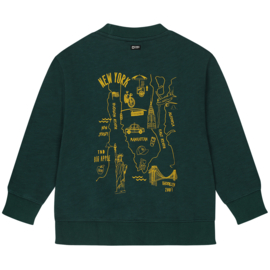 Groene Central Park sweater Tumble 'N Dry