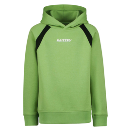 Retro groene hoodie Williston Raizzed