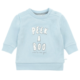 Blauwe sweater Feetje