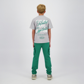 Hepic lichtgrijs shirt Raizzed