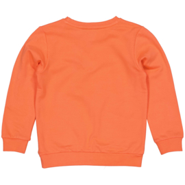 Oranje sweater Aimar Quapi