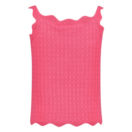 Roze gebreide top Jubel
