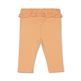 Abrikoos Legging Feetje