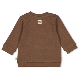 Bruine sweater Feetje