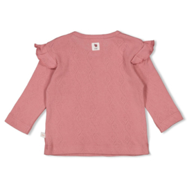 Oudroze longsleeve Feetje