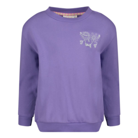 Paarse sweater Jubel