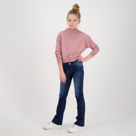 Oud Roze sweater Norfolk Raizzed