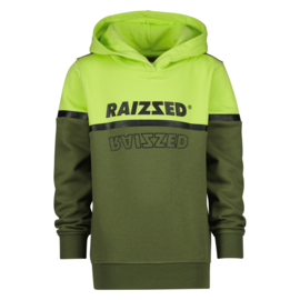 Hoodie Walker Raizzed