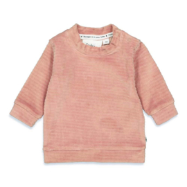 Roze Longsleeve Feetje