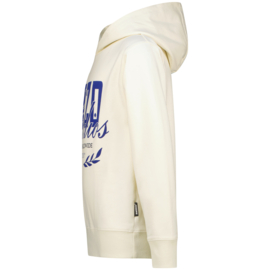 Neale sweater Raizzed
