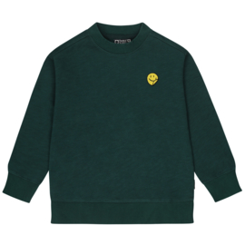 Groene Central Park sweater Tumble 'N Dry